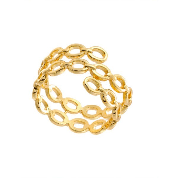 anilloChainRingdosWeb