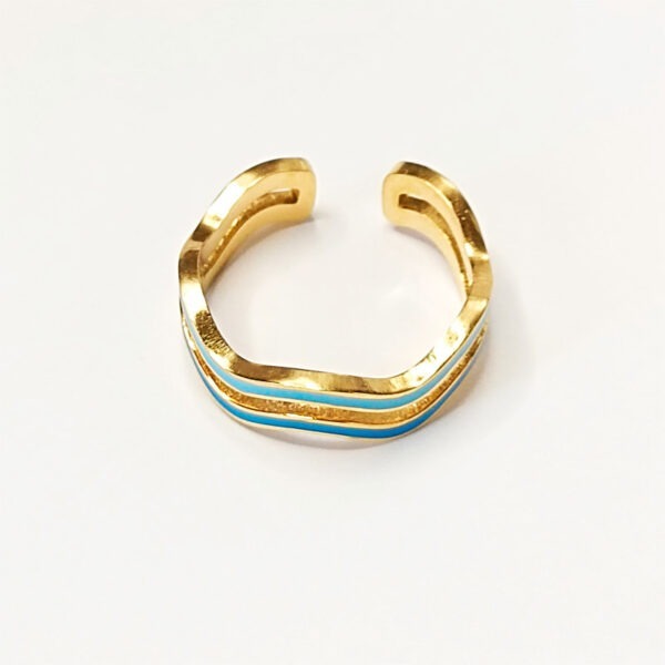 anillo2colores1