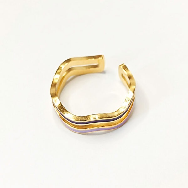 anillo2colores2