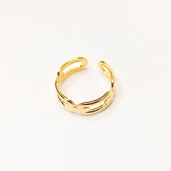 anillocgus2