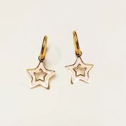 estrellaPendienteWeb2