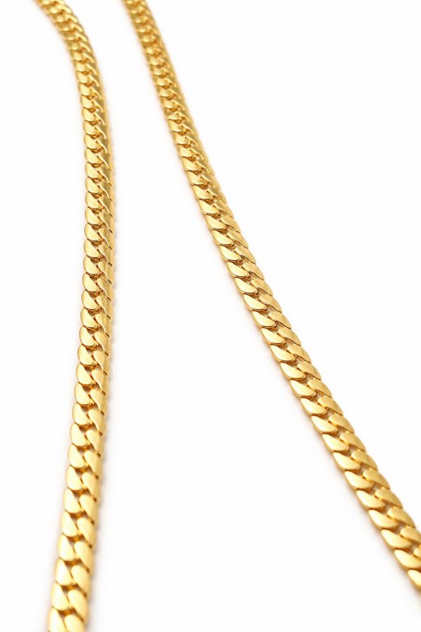 cola de zorro imagen