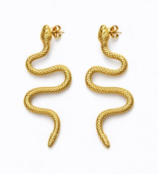 Pendientes Largos serpiente